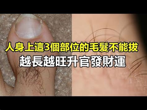 臉上 白毛|【臉上長白毛是什麼意思】臉上長白毛命理揭秘：吉兆。